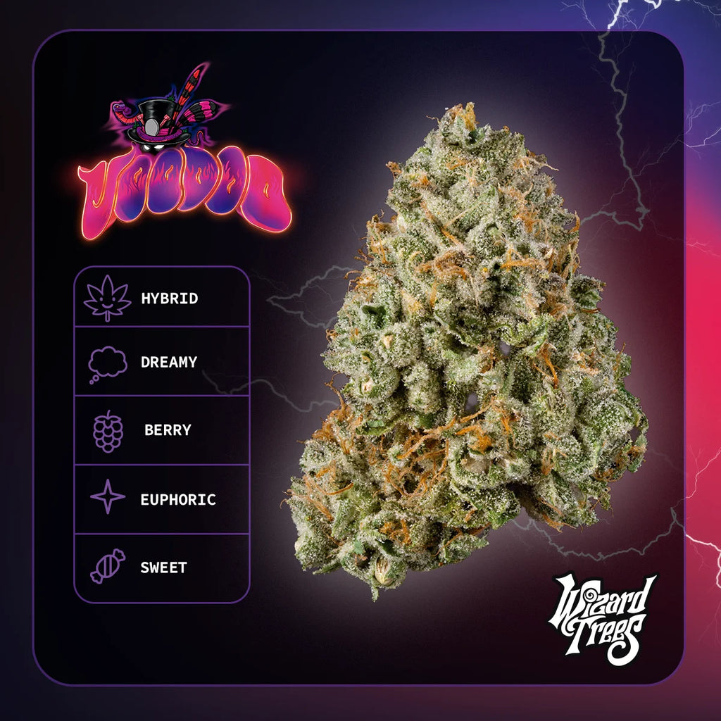 Wizzard Trees , Voodoo , 3 Seeds