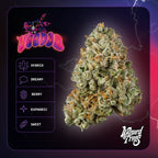 Wizzard Trees , Voodoo , 3 Seeds