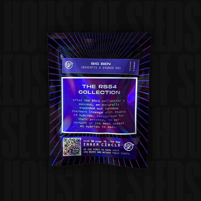 BIG BEN🏆Feminized 3 Seeds