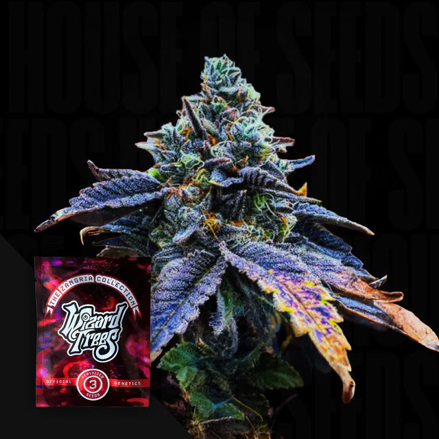 Corked 🏆 Feminized 6 Seeds