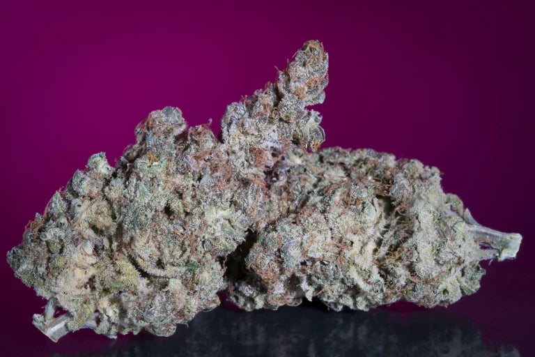 White Noise Feminized 3Seeds