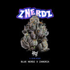 Z Nerdz🏆Feminized 3Seeds