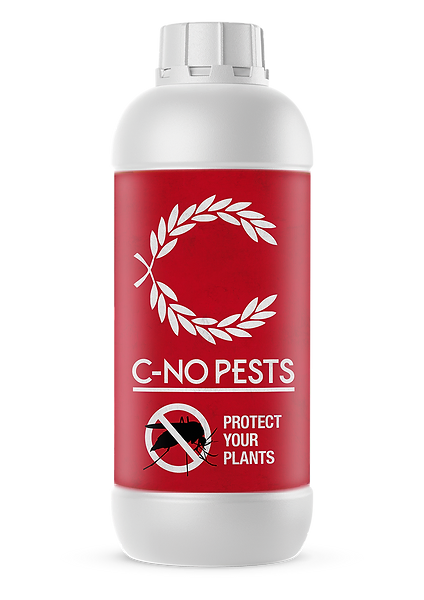 C-Result No Pests