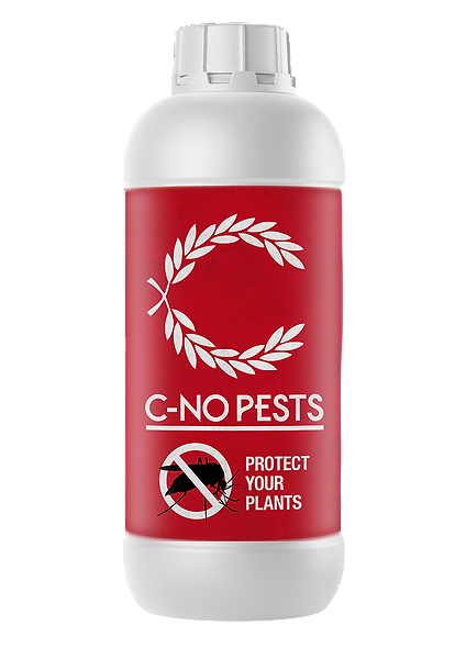 C-Result No Pests