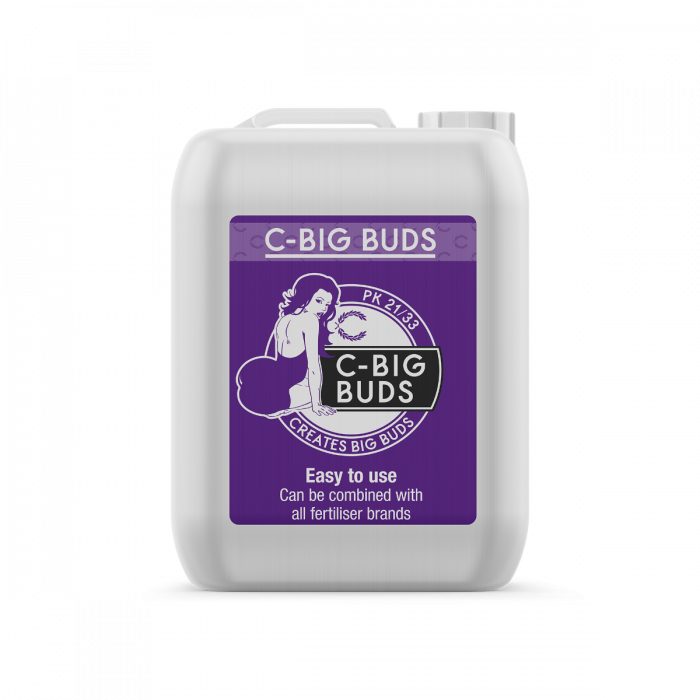 C-Result C Big Buds
