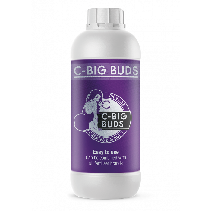C-Result C Big Buds