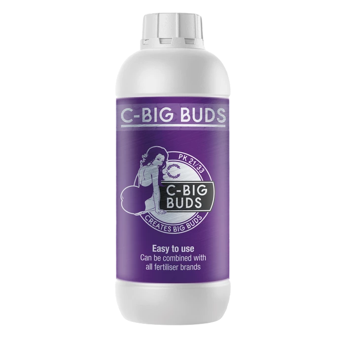C-Result C Big Buds
