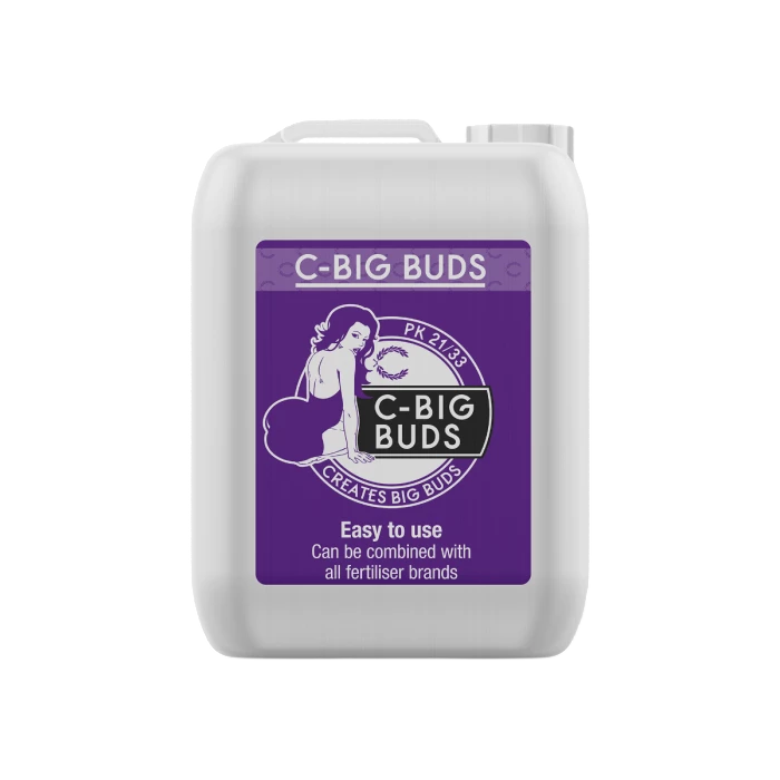 C-Result C Big Buds