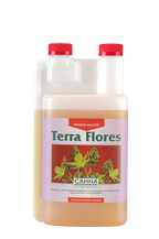 Canna Terra Flores