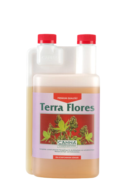 Canna Terra Flores