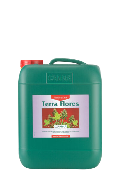 Canna Terra Flores