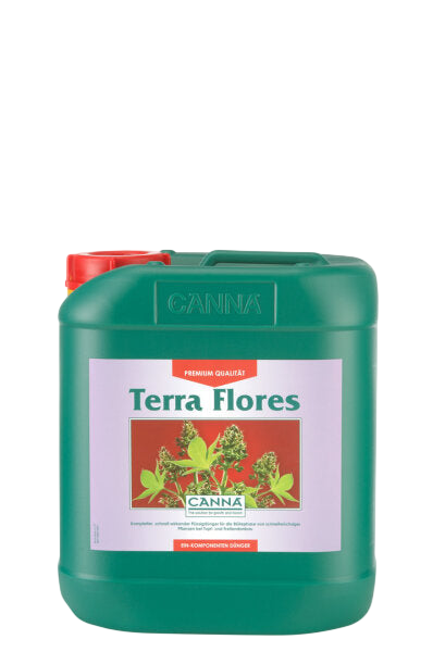 Canna Terra Flores