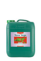Canna Terra Vega