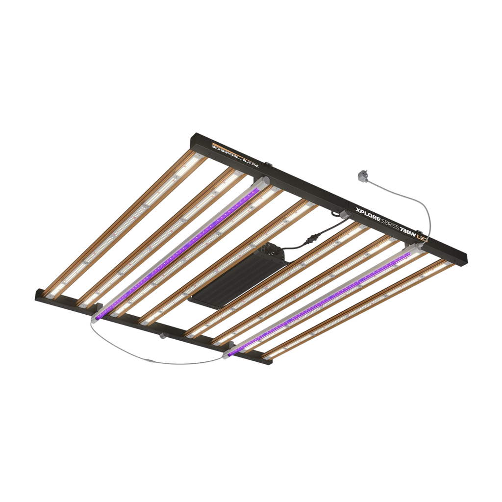 DIMLUX XPLORE SERIE NIR / UV ADD-ON 2x25W LED (Rotlich oder Blaulicht)