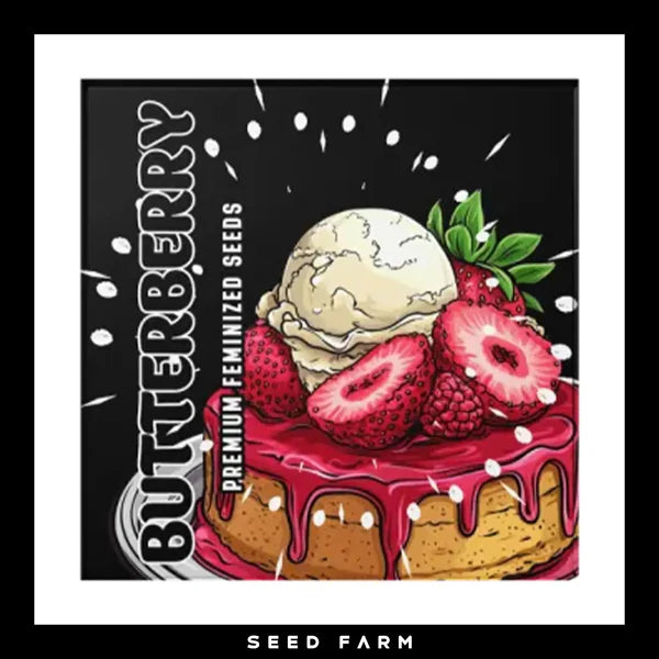 BUTTERBERRY🏆Feminized 6 Seeds