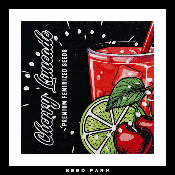 CHERRY LIMEADE🏆Feminized 6 Seeds