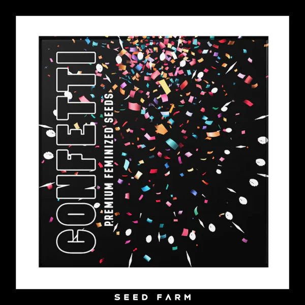 CONFETTI🏆Feminized 6 Seeds