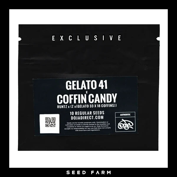GELATO 41 x COFFIN CANDY - 10 Regular Seeds