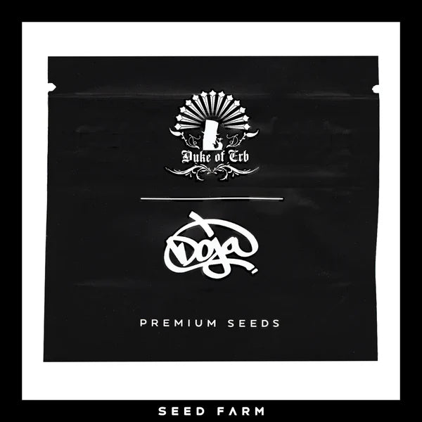 ZKITTLEZ X COFFIN CANDY -10 Regular Seeds