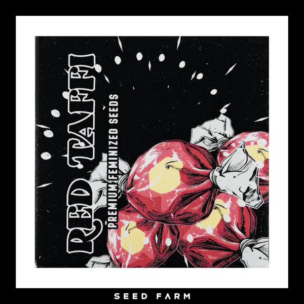 RED TAFFI🏆Feminized 6 Seeds