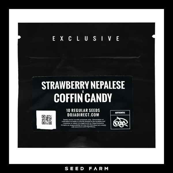 STRAWBERRY NEPALESE x COFFIN CANDY -10 Regular Seeds