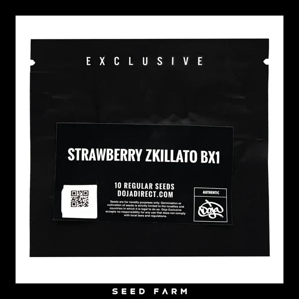 STRAWBERRY ZKILLATO BX1 -10 Regular Seeds