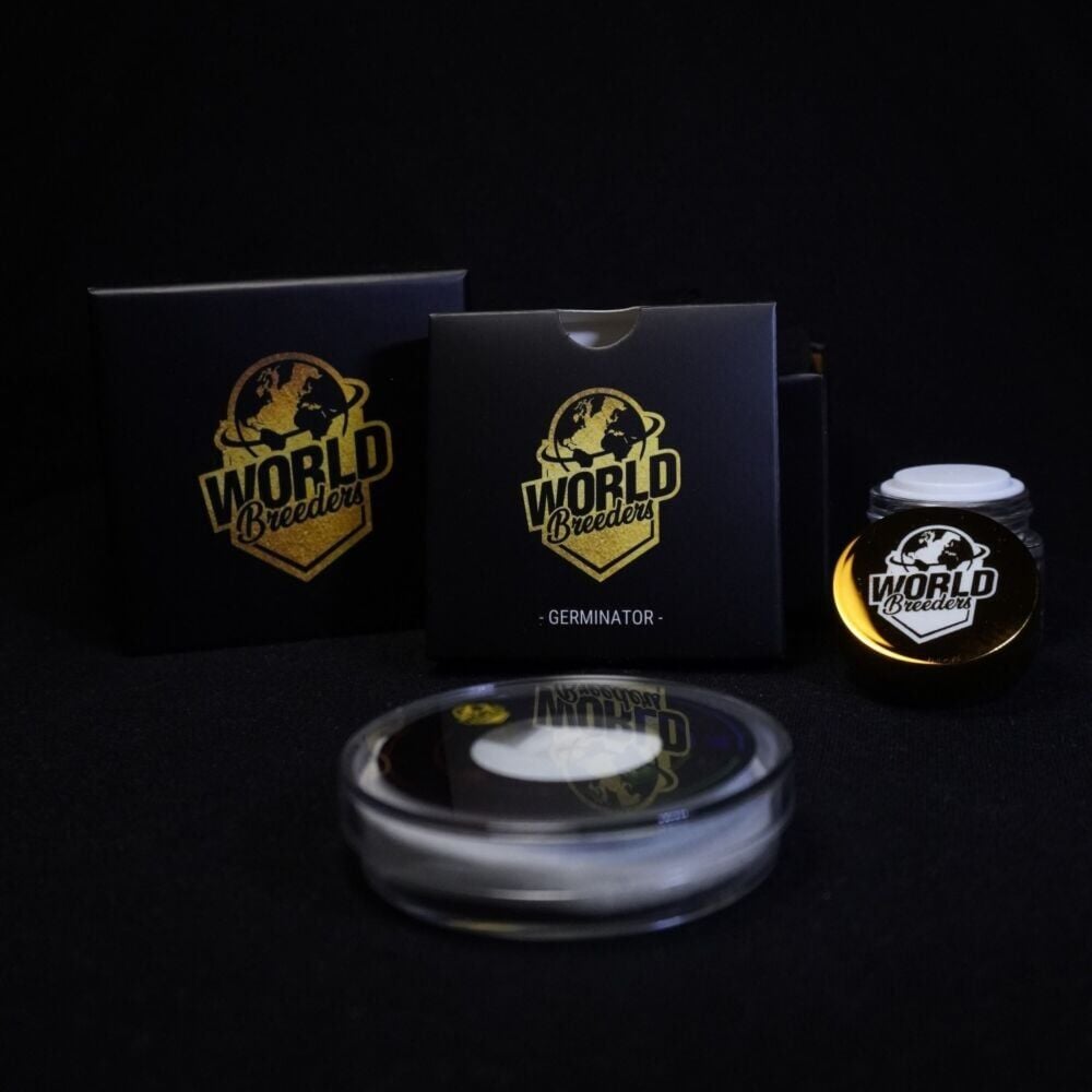 World Breeders 5 Seeds Fizzy Gum