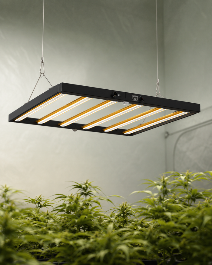 Growshop Kategorie