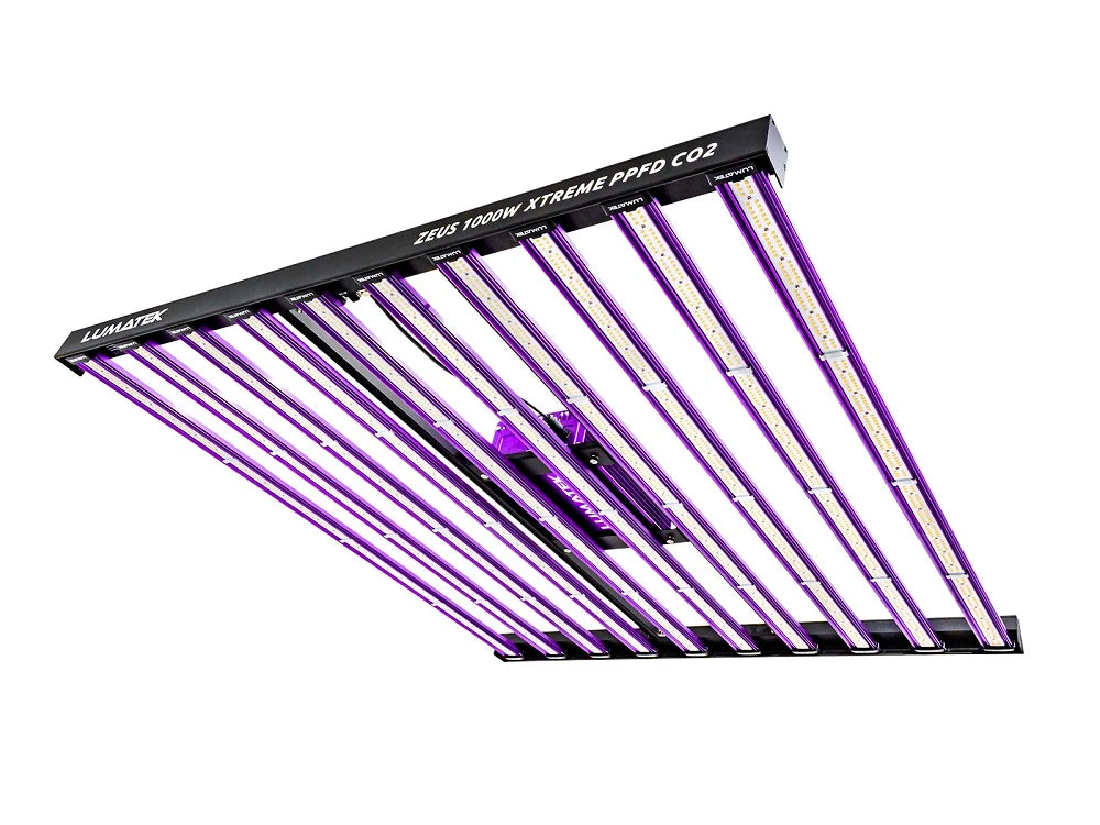 ZEUS 1000W XTREME 3.1