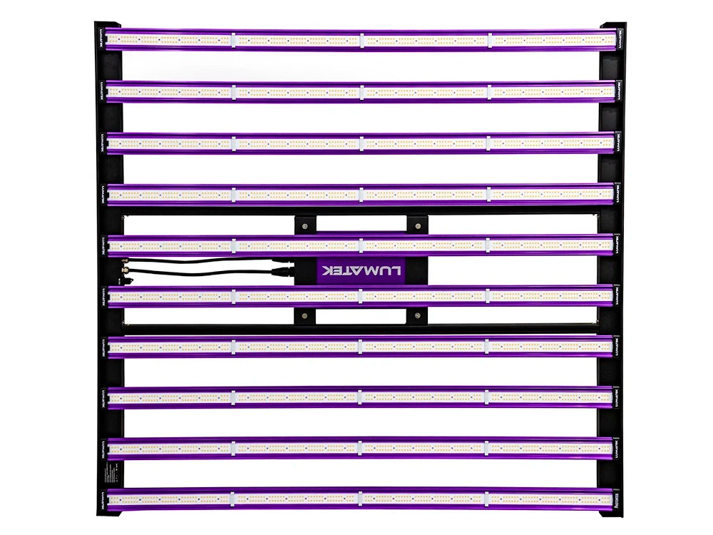 ZEUS 1000W XTREME 3.1