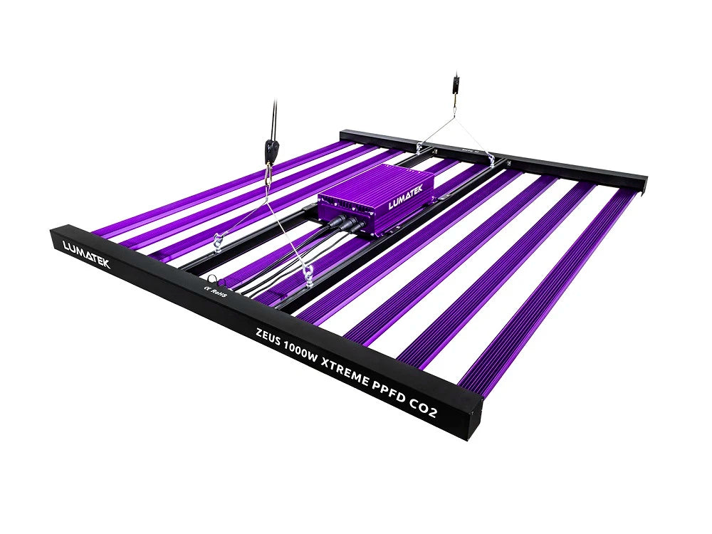ZEUS 1000W XTREME 3.1