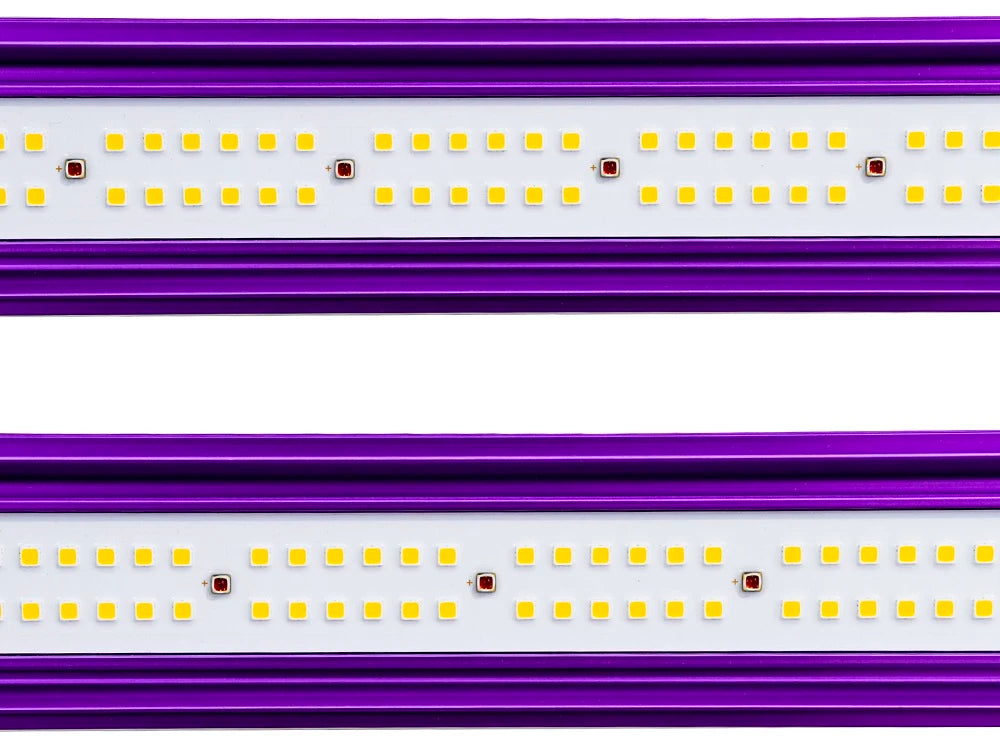 ZEUS 1000W XTREME 3.1