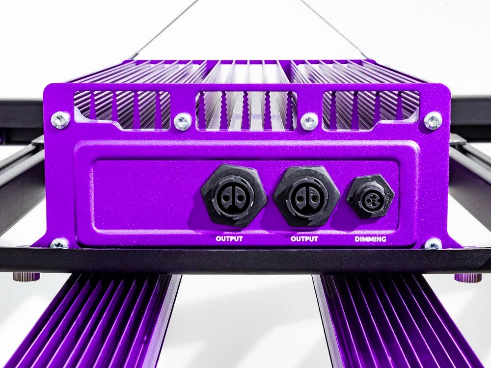 ZEUS 1000W XTREME 3.1