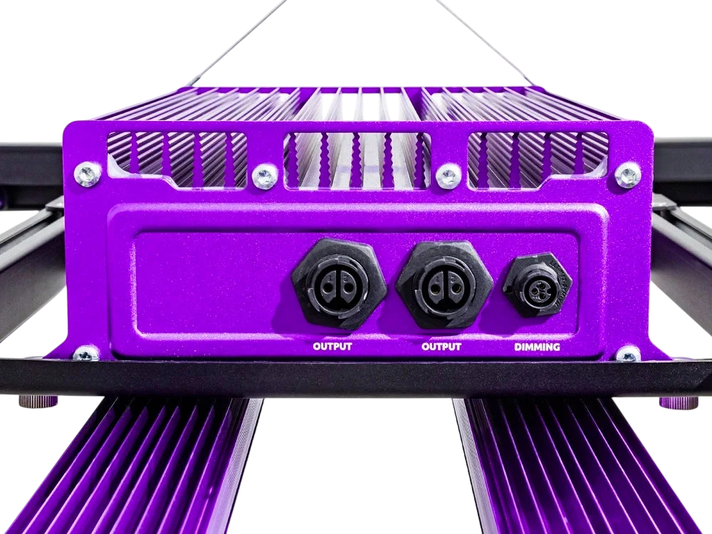 ZEUS 1000W XTREME 3.1