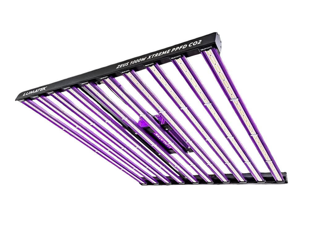 ZEUS 1000W XTREME 3.1