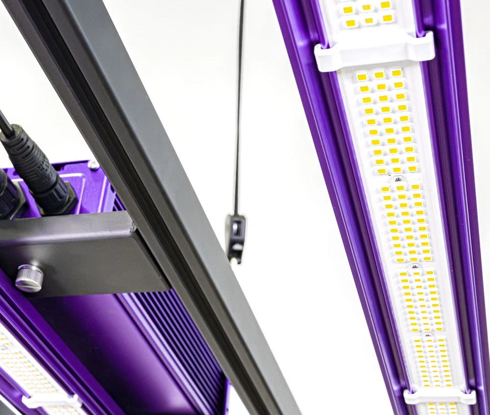 ZEUS 465W PRO 3.1 μmol