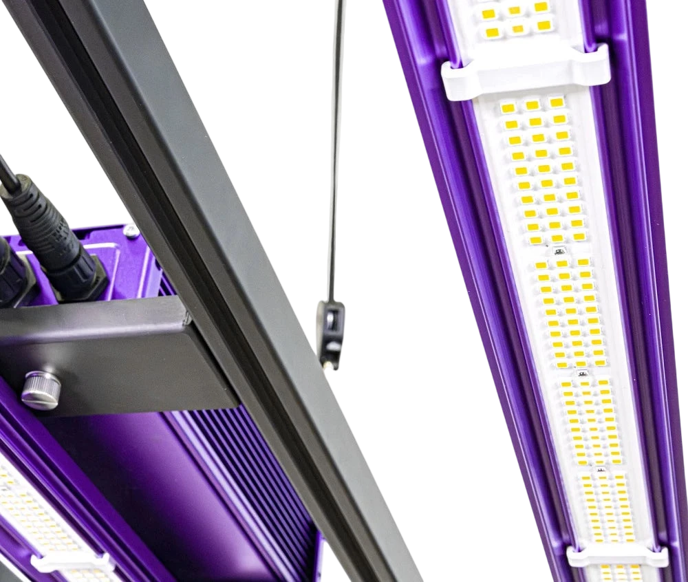 ZEUS 465W PRO 3.1 μmol