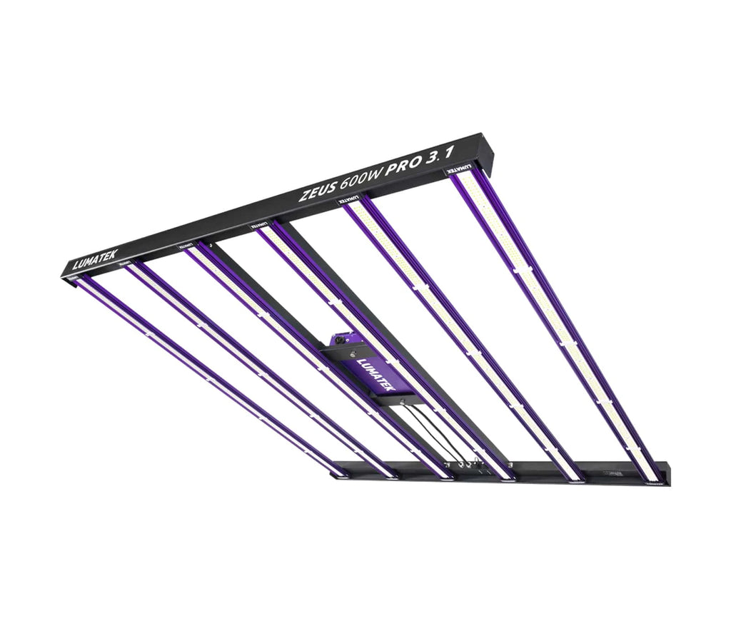ZEUS 600W PRO 3.1
