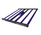 ZEUS 600W PRO 3.1