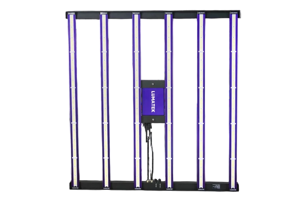 ZEUS 600W PRO 3.1