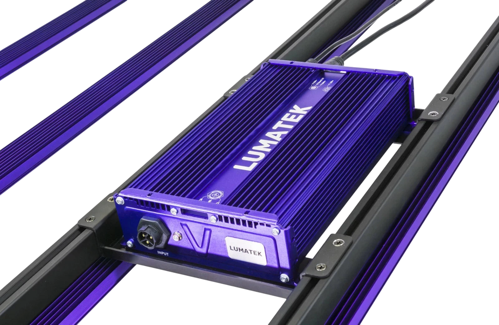 ZEUS 600W PRO 3.1