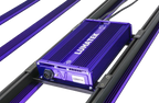 ZEUS 600W PRO 3.1