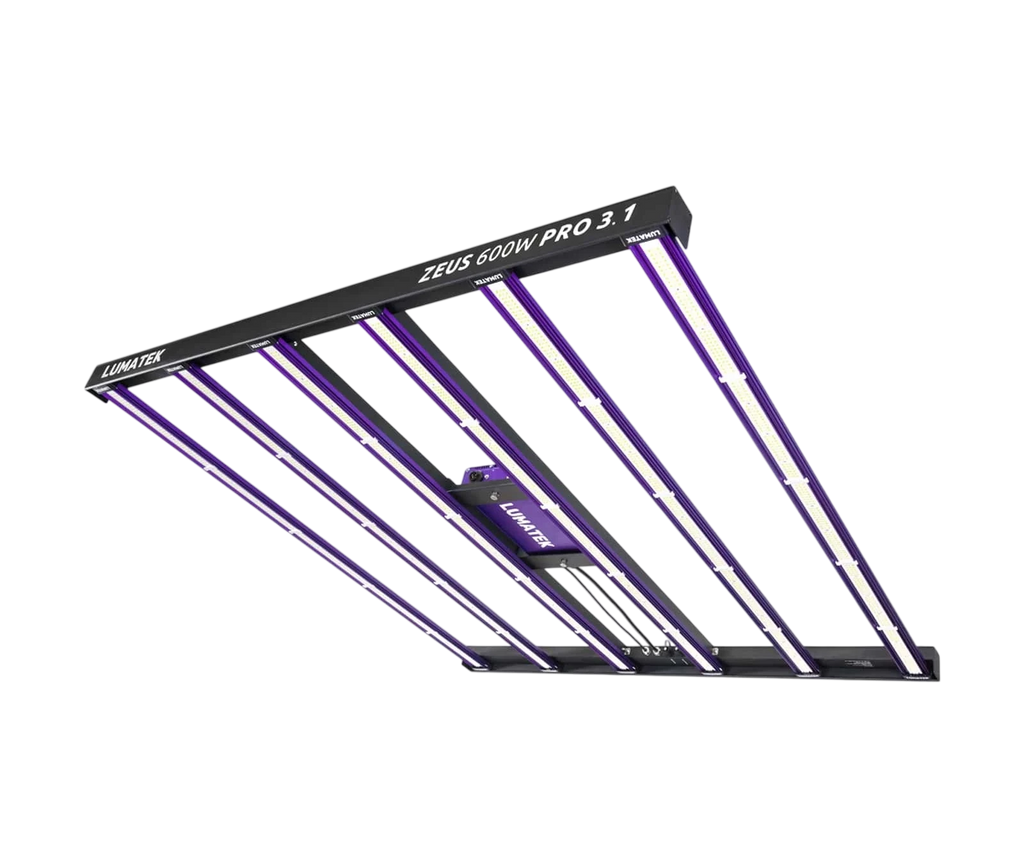 ZEUS 600W PRO 3.1
