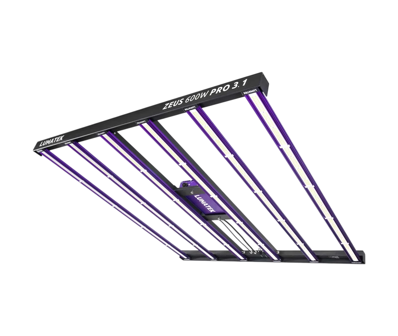 ZEUS 600W PRO 3.1