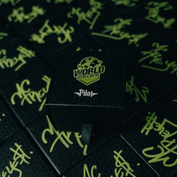 World Breeders Seeds Pilot