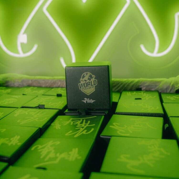 World Breeders Seeds Pilot