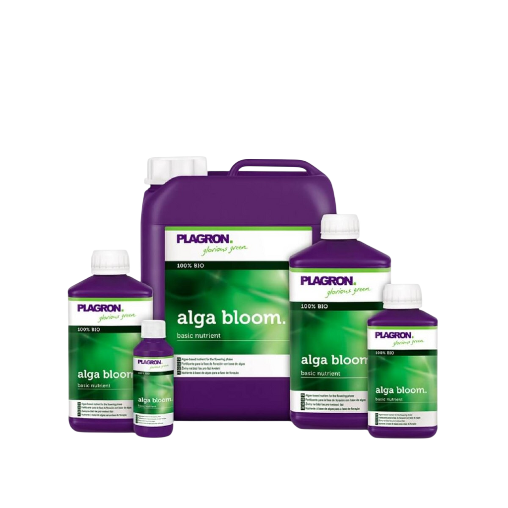 Plagron Alga Bloom