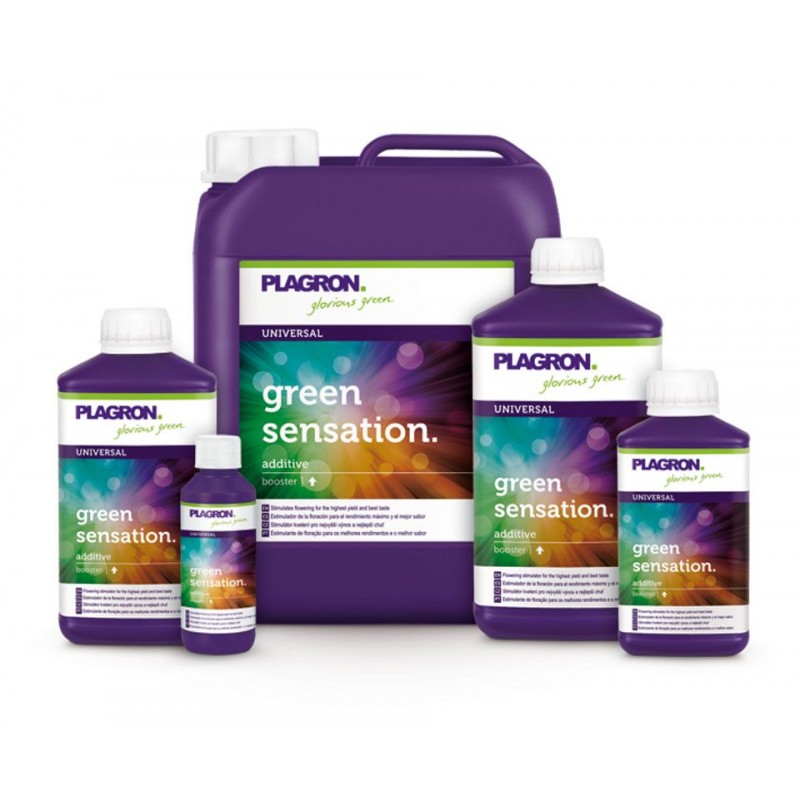 Plagron Green Sensation