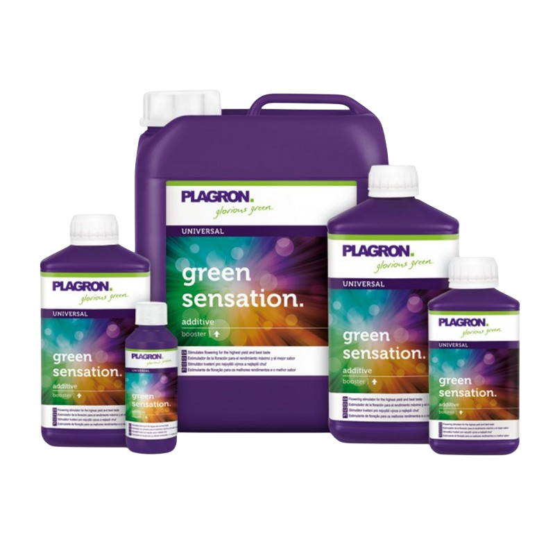 Plagron Green Sensation