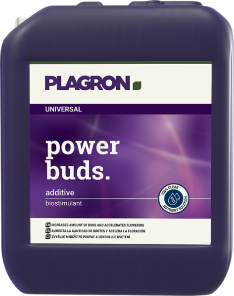 Plagron Power Buds